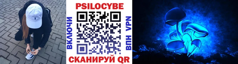 Псилоцибиновые грибы Magic Shrooms  MEGA зеркало  Армавир 